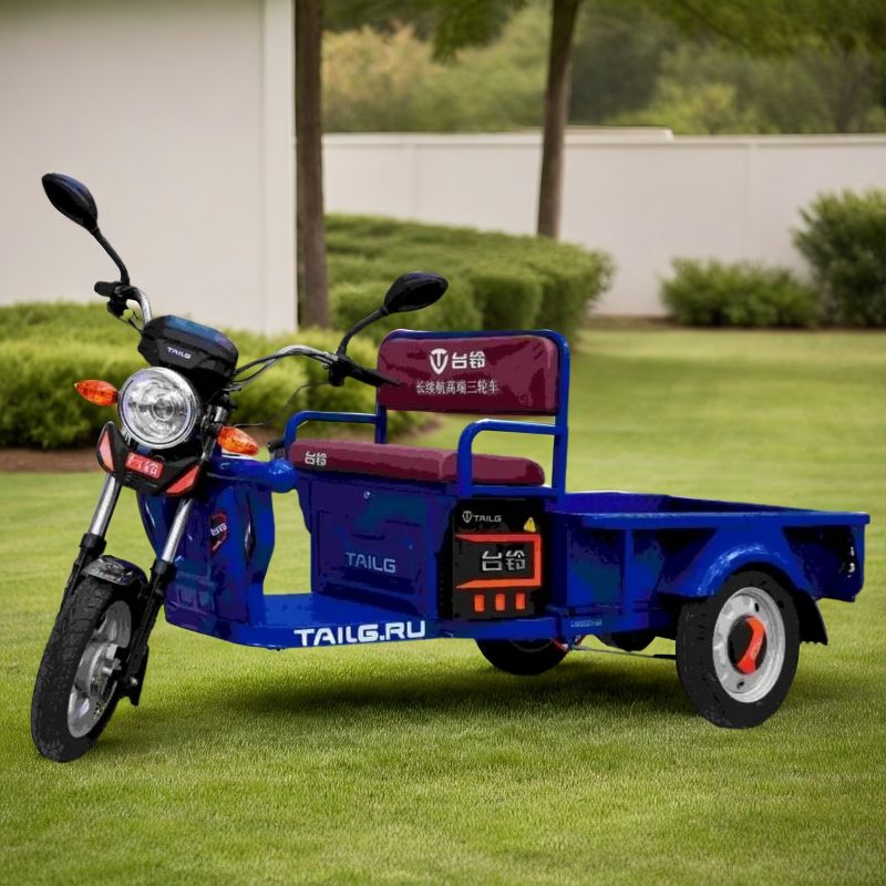 Электротрицикл TaiLG TL650DQZ-55Z original