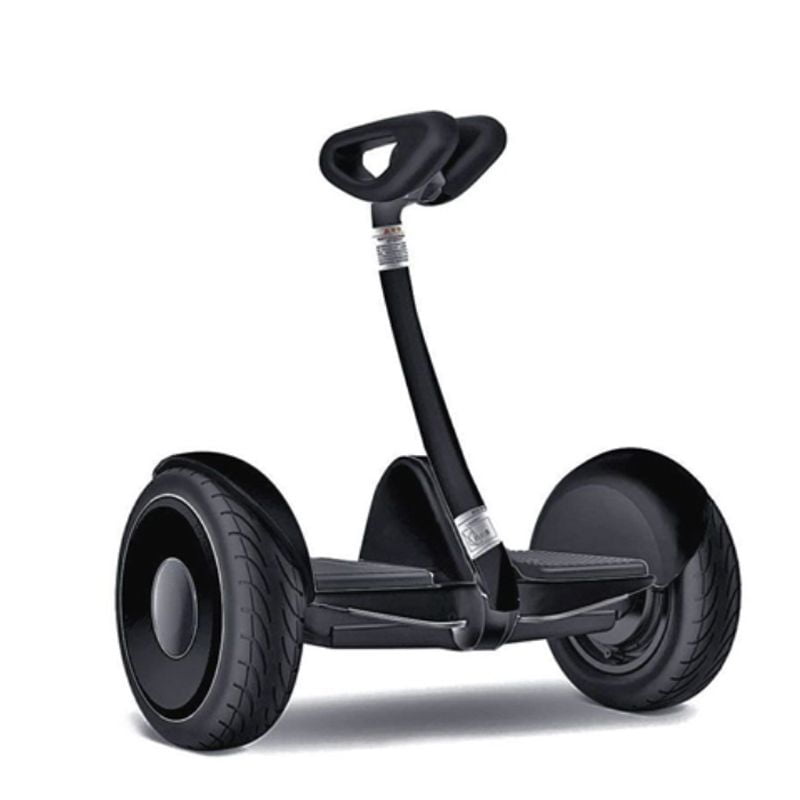 Сигвей Zeissboard Strimer 54 чёрный Сигвей Zeissboard Strimer 54 чёрный